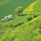 Moselle en fleurs / Abloom Moselle