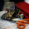 Costumes en cours / Costumes in progress